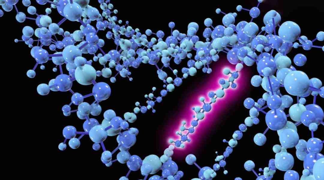 Sự thay đổi trình tự của DNA gây ra sự đột biến ở người