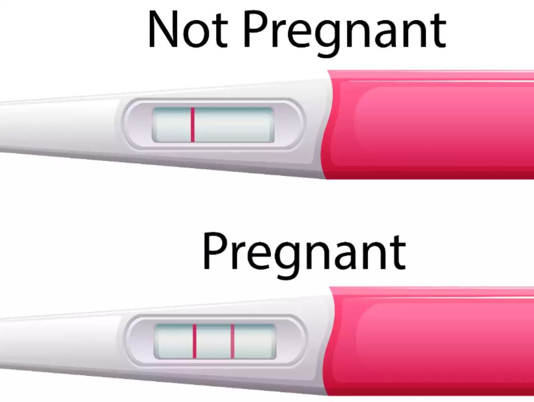 Cách xem kết quả que thử thai