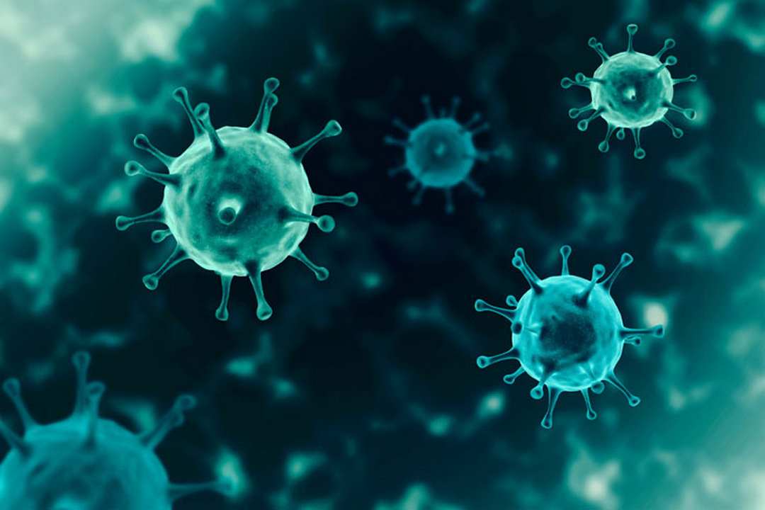 Virus là nhân tố chính gây nên viêm amidan