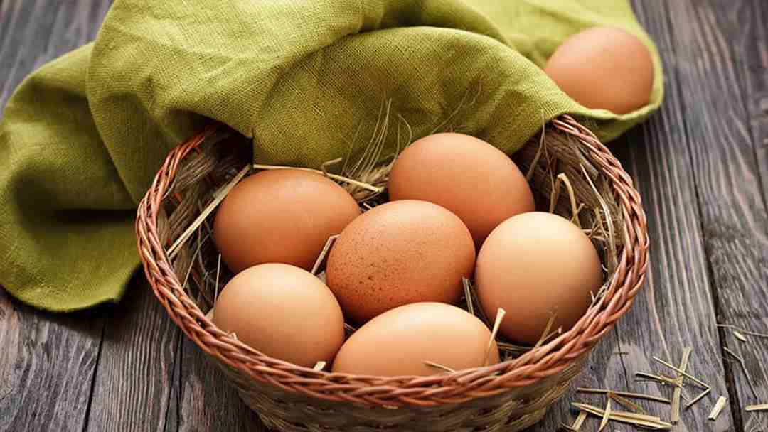 Trứng giàu dinh dưỡng, có hàm lượng lớn protein