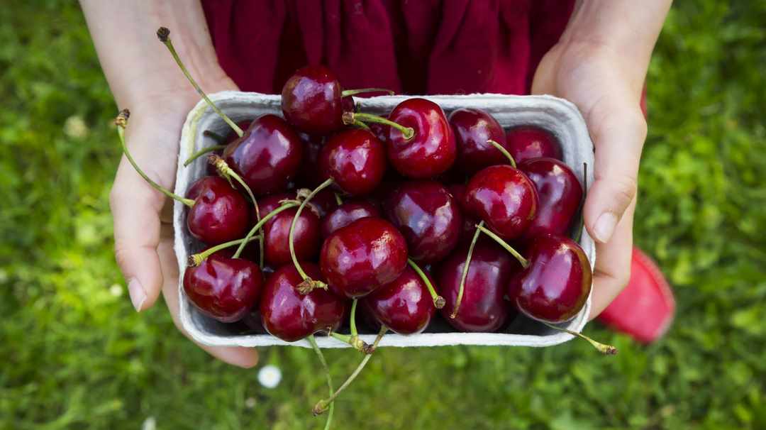 Quả cherry có rất nhiều chất dinh dưỡng tốt cho bệnh tiểu đường